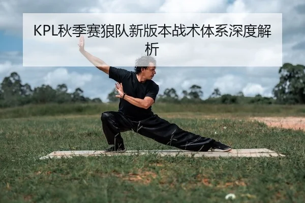 qiu-ji-sai-lang-dui-xin-ban-ben-zhan-shu-ti-xi-shen-du-jie-xi-2-223.jpg