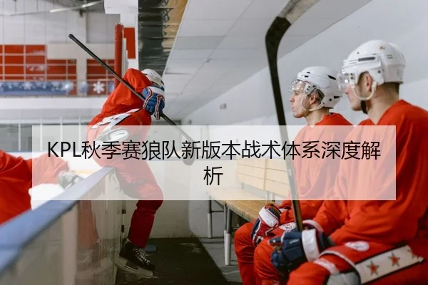 KPL秋季赛狼队新版本战术体系深度解析